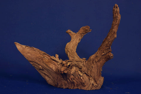 corbo-wood-aquarium-wurzel-kaufen-90