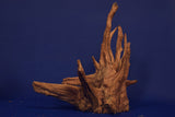Corbo Wood / Aquarium Wurzel C91