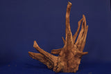 Corbo Wood / Aquarium Wurzel C91