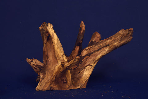 corbo-wood-aquarium-wurzel-kaufen-92