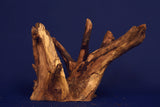 Corbo Wood / Aquarium Wurzel C92