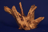 Corbo Wood / Aquarium Wurzel C92