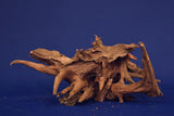 Corbo Wood / Aquarium Wurzel C93