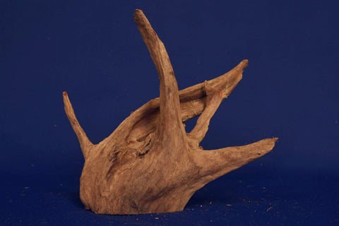 corbo-wood-aquarium-wurzel-kaufen-96