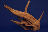 Corbo Wood / Aquarium Wurzel C96