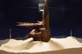 corbo-wood-aquarium-wurzel-kaufen-98
