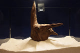 Corbo Wood / Aquarium Wurzel C98