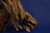 Dragon Wood, Drachenholz, Aquarium Wurzel, DR10
