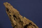 Dragon Wood, Drachenholz, Aquarium Wurzel, DR10