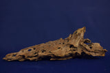Dragon Wood, Drachenholz, Aquarium Wurzel, DR10