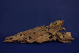 Dragon Wood, Drachenholz, Aquarium Wurzel, DR10