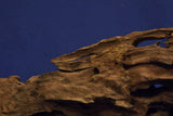 Dragon Wood, Drachenholz, Aquarium Wurzel, DR10