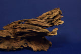 Dragon Wood, Drachenholz, Aquarium Wurzel, DR10