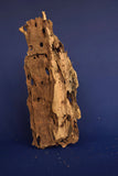 Dragon Wood, Drachenholz, Aquarium Wurzel, DR11