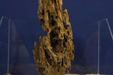 Dragon Wood, Drachenholz, Aquarium Wurzel, DR12