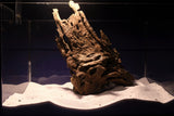 drachenholz-aquarium-wurzel-kaufen-18