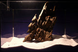 Dragon Wood, Drachenholz, Aquarium Wurzel, DR18