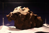 Dragon Wood, Drachenholz, Aquarium Wurzel, DR19