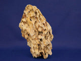 drachensteine-ohko-rock-aquarium-69