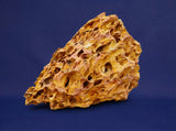 drachensteine-ohko-rock-aquarium-73