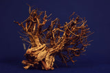 Redwood Etosha Tree, Aquarium Wurzel, Nano, Exklusiv, ET05