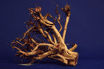 Redwood Etosha Tree, Aquarium Wurzel, Nano, Exklusiv, ET06