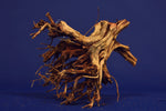 Redwood Etosha Tree, Aquarium Wurzel, Nano, Exklusiv, ET07