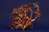 Redwood Etosha Tree, Aquarium Wurzel, Nano, Exklusiv, ET101