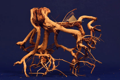 etosha-tree-aquarium-wurzel-redwood-et102