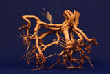 Redwood Etosha Tree, Aquarium Wurzel, Nano, Exklusiv, ET102