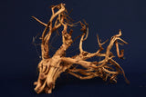 Redwood Etosha Tree, Aquarium Wurzel, Nano, Exklusiv, ET105
