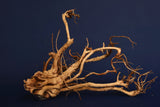Redwood Etosha Tree, Aquarium Wurzel, Nano, Exklusiv, ET105