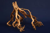 etosha-tree-aquarium-wurzel-redwood-et106