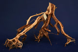 Redwood Etosha Tree, Aquarium Wurzel, Nano, Exklusiv, ET106