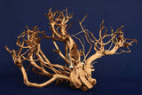 Redwood Etosha Tree, Aquarium Wurzel, Nano, Exklusiv, ET108