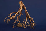 etosha-tree-aquarium-wurzel-redwood-et109