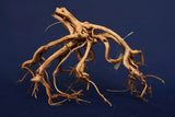 etosha-tree-aquarium-wurzel-redwood-et110