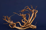 Redwood Etosha Tree, Aquarium Wurzel, Nano, Exklusiv, ET110