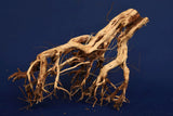 Redwood Etosha Tree, Aquarium Wurzel, Nano, Exklusiv, ET112