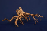etosha-tree-aquarium-wurzel-redwood-et113