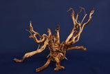 Redwood Etosha Tree, Aquarium Wurzel, Nano, Exklusiv, ET113