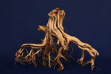 etosha-tree-aquarium-wurzel-redwood-et114
