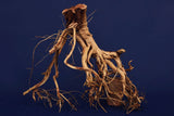 Redwood Etosha Tree, Aquarium Wurzel, Nano, Exklusiv, ET115