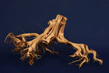 etosha-tree-aquarium-wurzel-redwood-et116