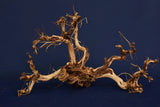 Redwood Etosha Tree, Aquarium Wurzel, Nano, Exklusiv, ET116