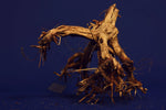 Redwood Etosha Tree, Aquarium Wurzel, Nano, Exklusiv, ET14