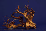 Redwood Etosha Tree, Aquarium Wurzel, Nano, Exklusiv, ET19