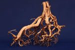 Redwood Etosha Tree, Aquarium Wurzel, Nano, Exklusiv, ET38