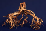 etosha-tree-aquarium-wurzel-redwood-et40