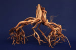 Redwood Etosha Tree, Aquarium Wurzel, Nano, Exklusiv, ET40